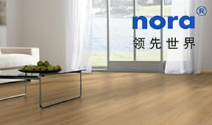 ��(gu��)NORA�Z��